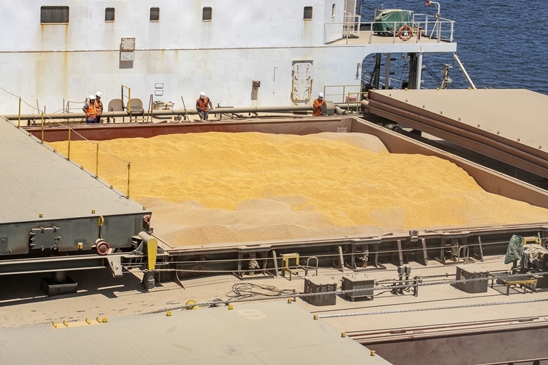 Volume de milho embarcado em janeiro em Paranagu? ? 161% superior ao m?s em 2022