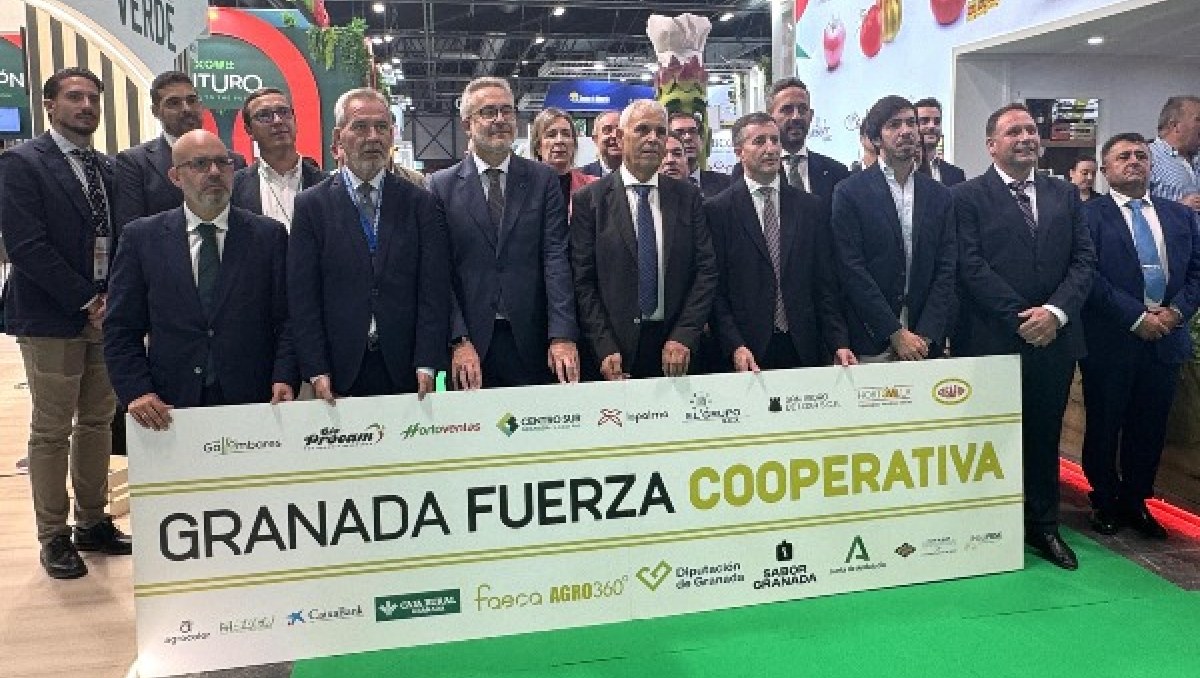 Puerto de Motril contará con 540 mil metros cuadrados de suelo para corporaciones de distribución y logística