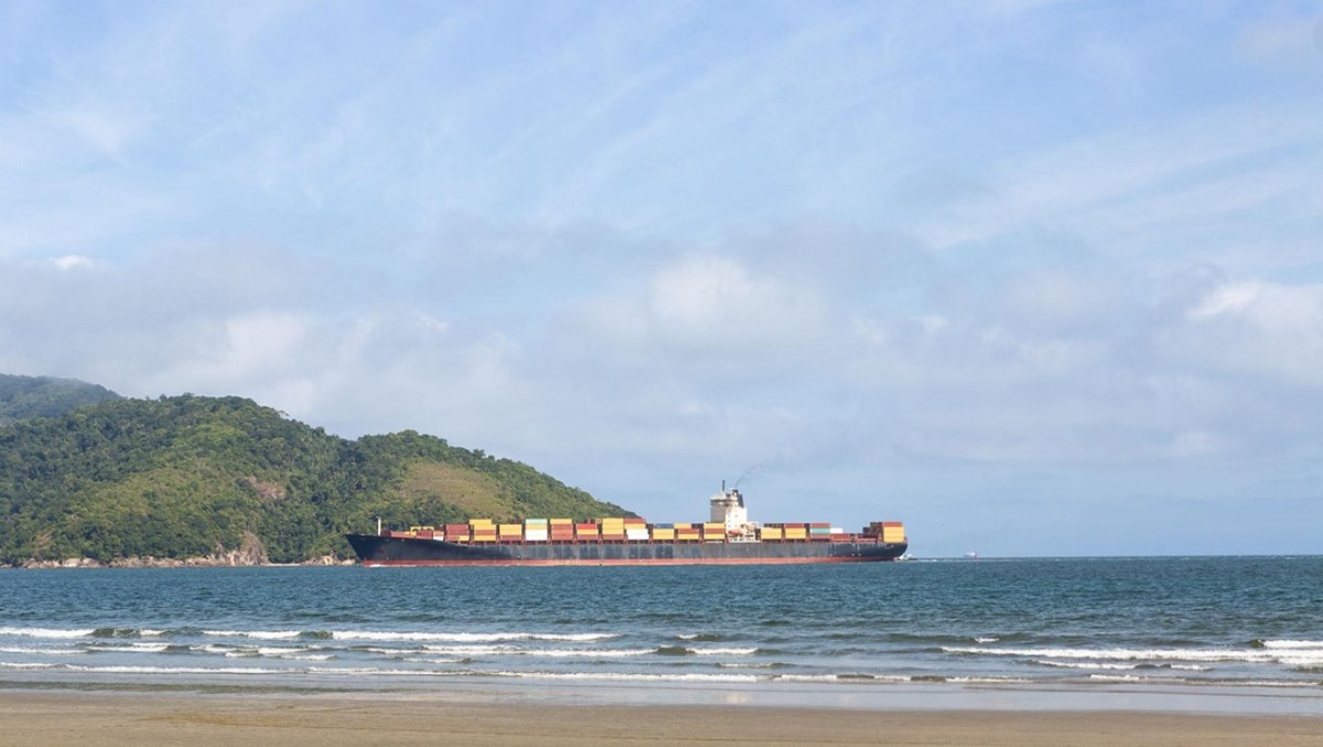 UNESP monitora ostra exótica que compete com espécies nativas em Cananeia