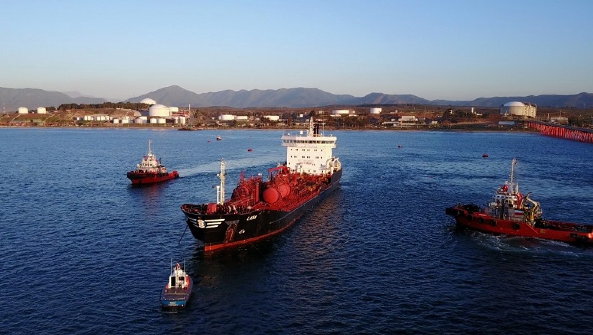 Superintendencia del Medio Ambiente formula cargos contra Terminal Marítimo de Quintero