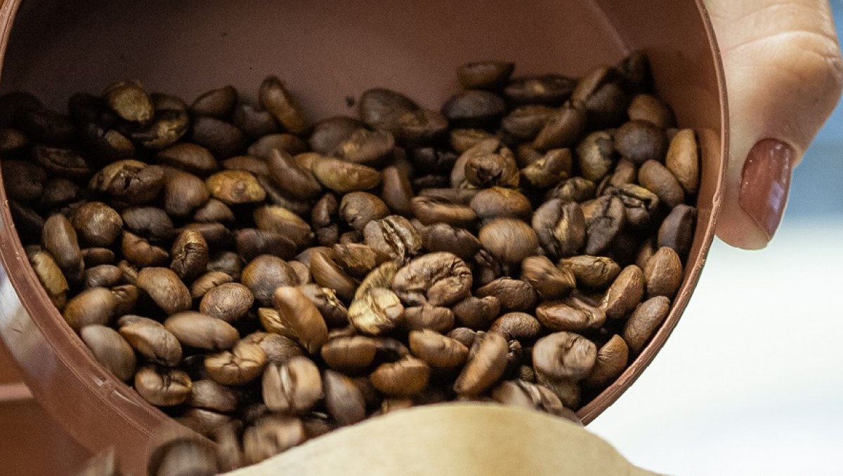 Exportação de café brasileiro cresce 3,1% em volume, mas receita recua 7,1% em setembro