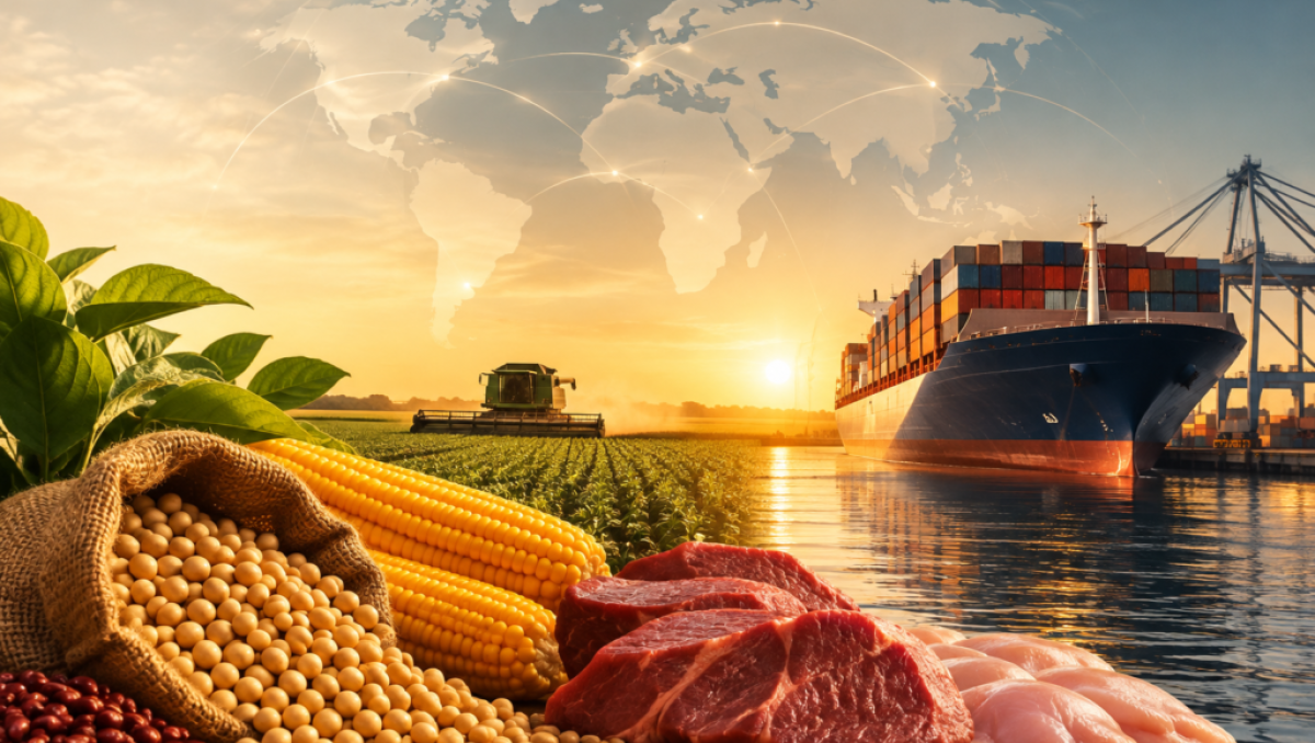 Brasil pode se tornar o maior exportador mundial de alimentos até 2027
