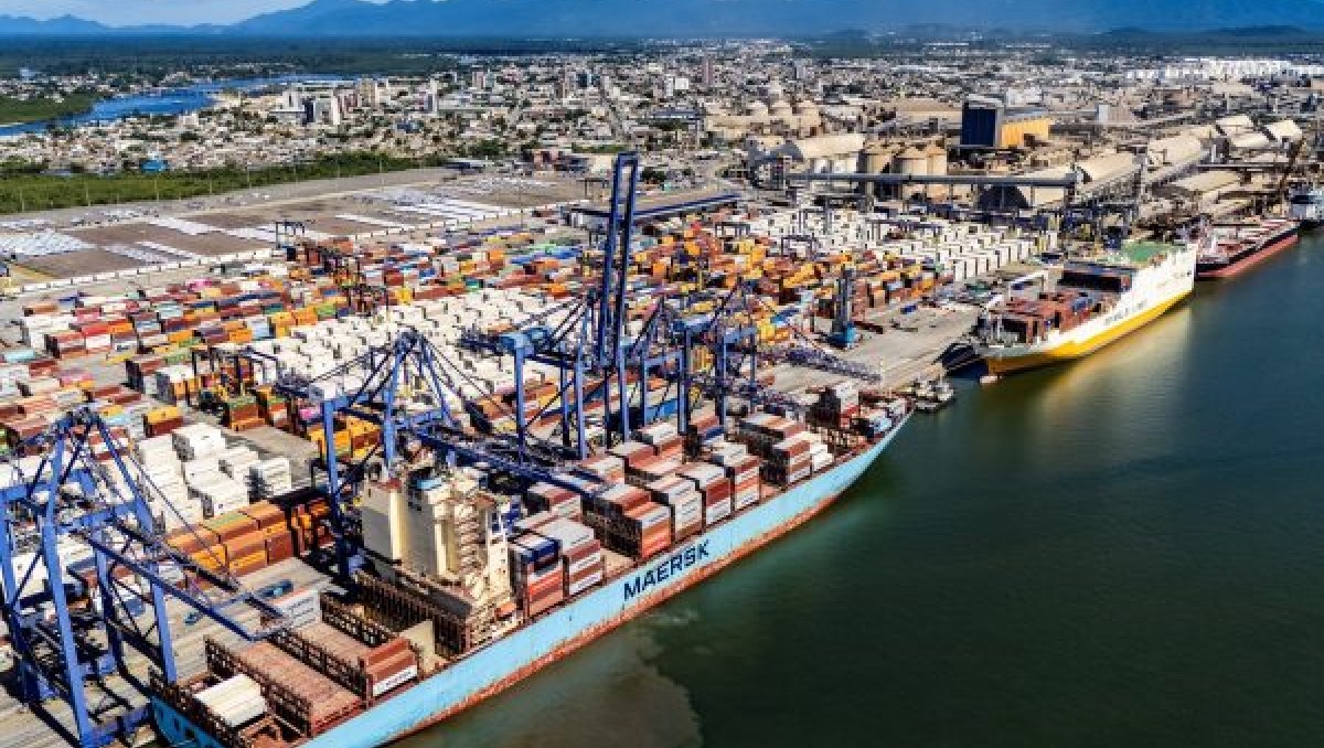 Porto de Paranaguá responde por 65% do crescimento das exportações brasileiras de frango congelado