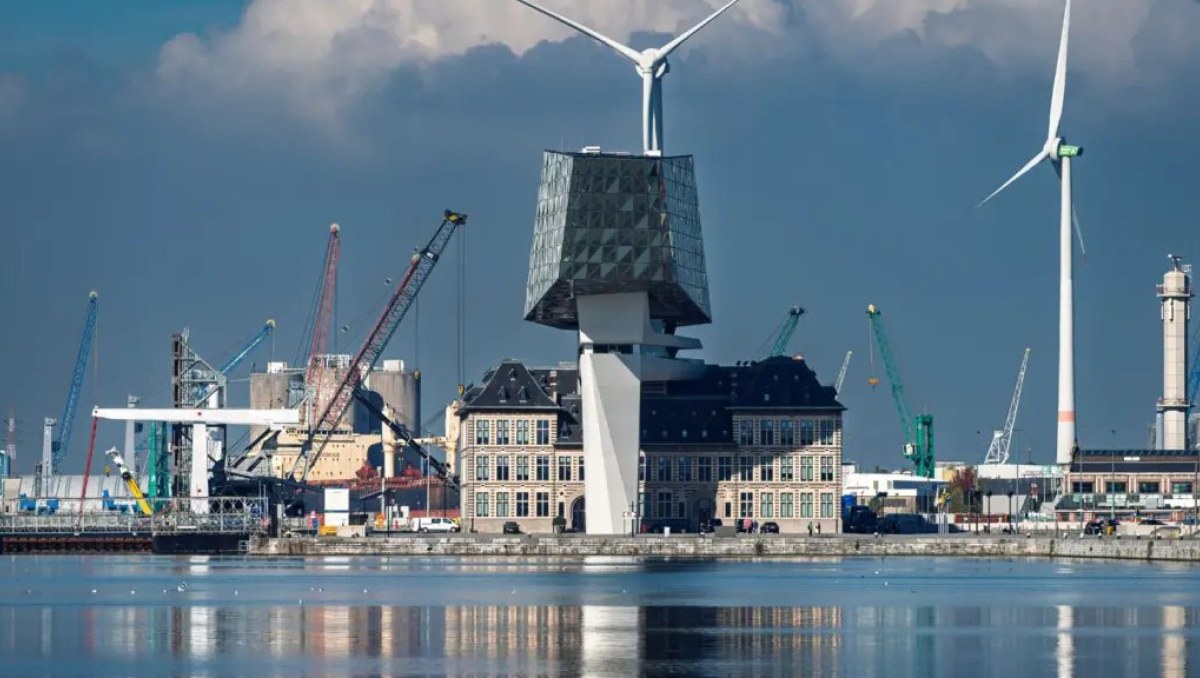 Port of Antwerp-Bruges bounces back