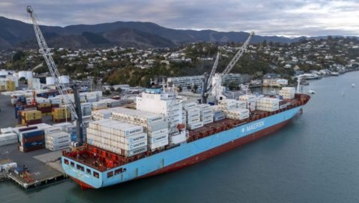 Port Nelson writes down assets on lower forecast