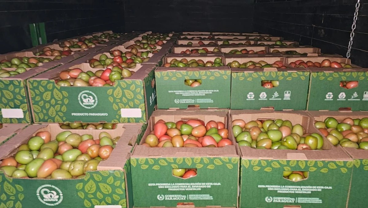 Paraguay exporta primer cargamento de tomates con destino a Brasil