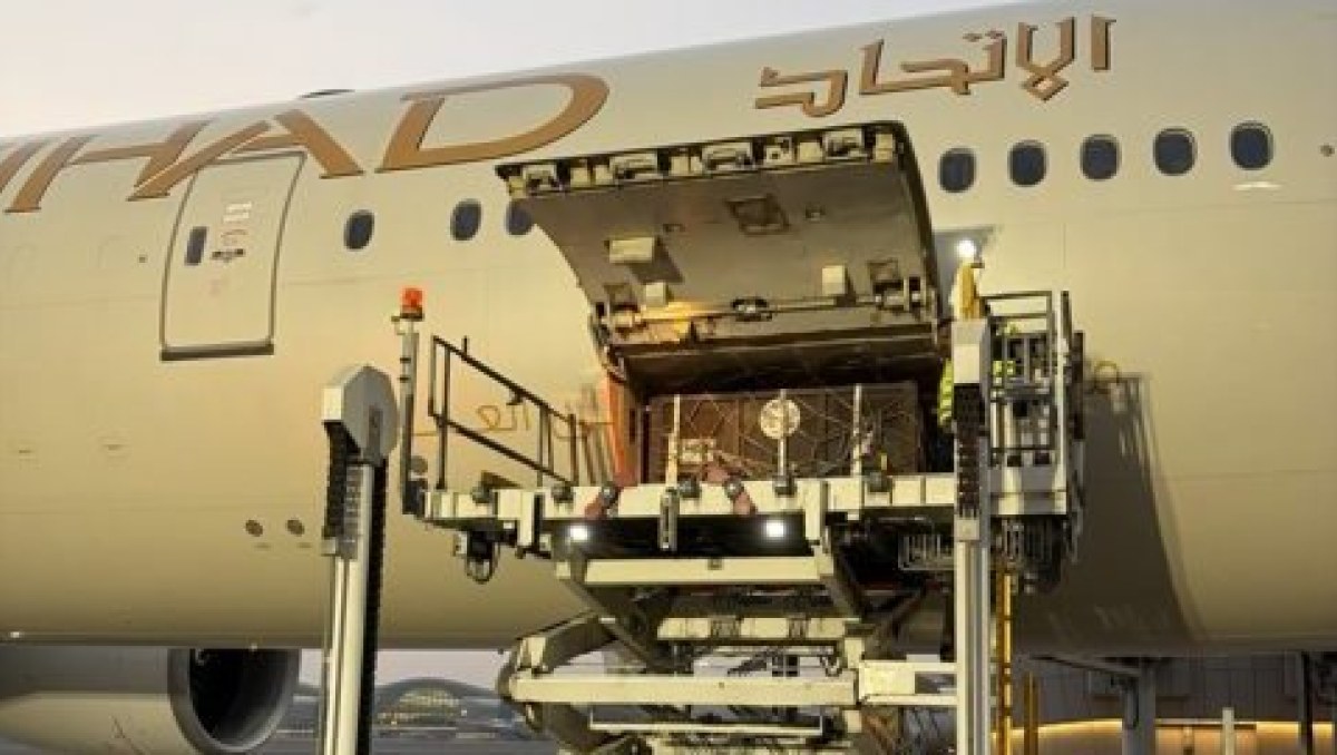 Etihad Cargo flies rescued bears from Russia to Ireland
