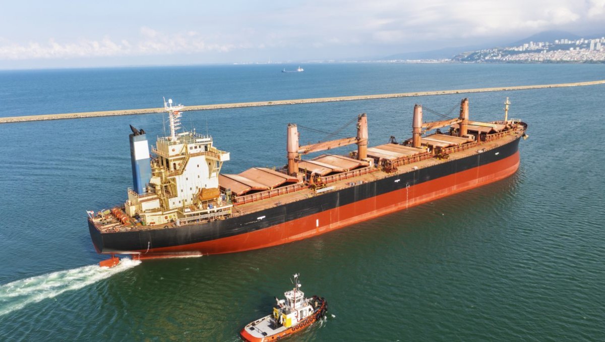 Maritime Procurement: Where the Cost is Really Set