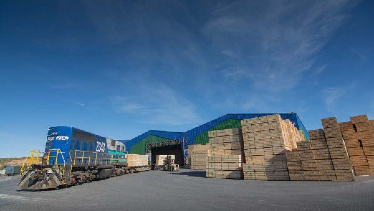 Exportaciones forestales de la Región del Bio Bio crecen 7,8% en agosto de 2026