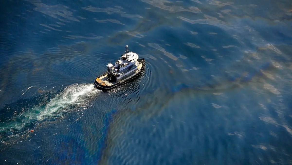Study Reveals Lasting Damage to Gulf Marine Life from 2010 BP Oil Spill