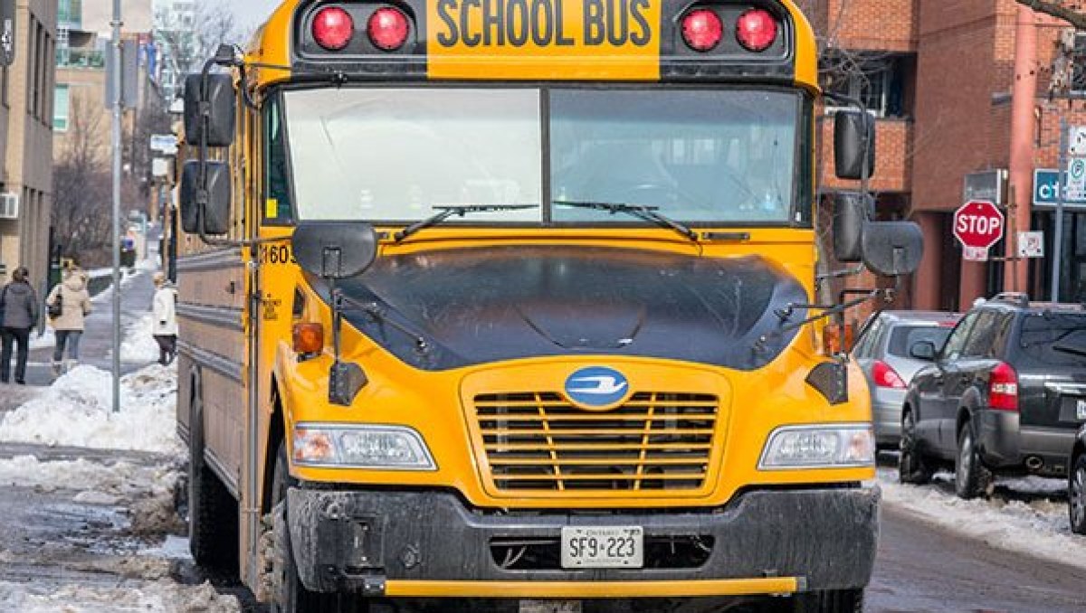 Blue Bird Plans $300 Million School Bus Factory in Fort Valley, Georgia