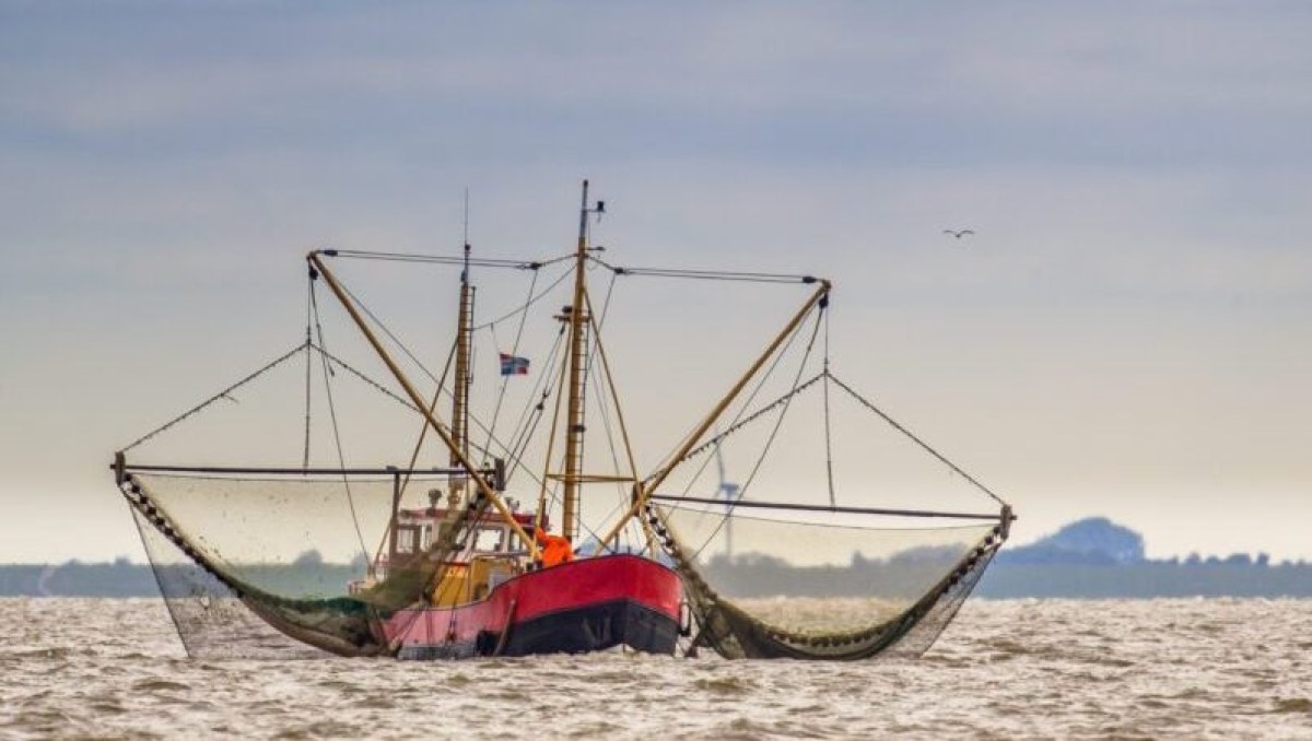 Trump Administration Unveils Seafood Strategy to Boost U.S. Fishing Fleet and Domestic Production