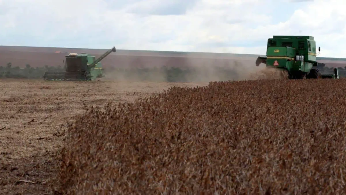 Safra de soja do Brasil deve atingir 184 milhões de toneladas em 2026/27, prevê adido do USDA
