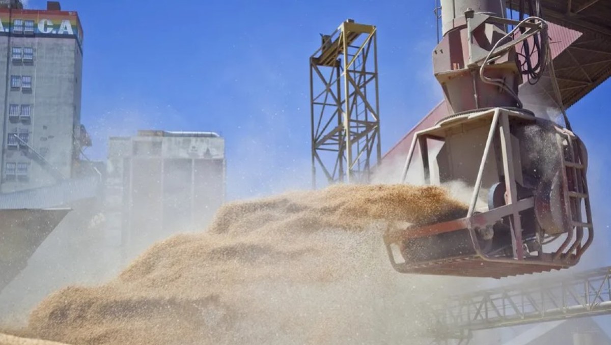 Regulaciones antideforestación de la UE beneficiarían exportaciones de harina de soja argentina