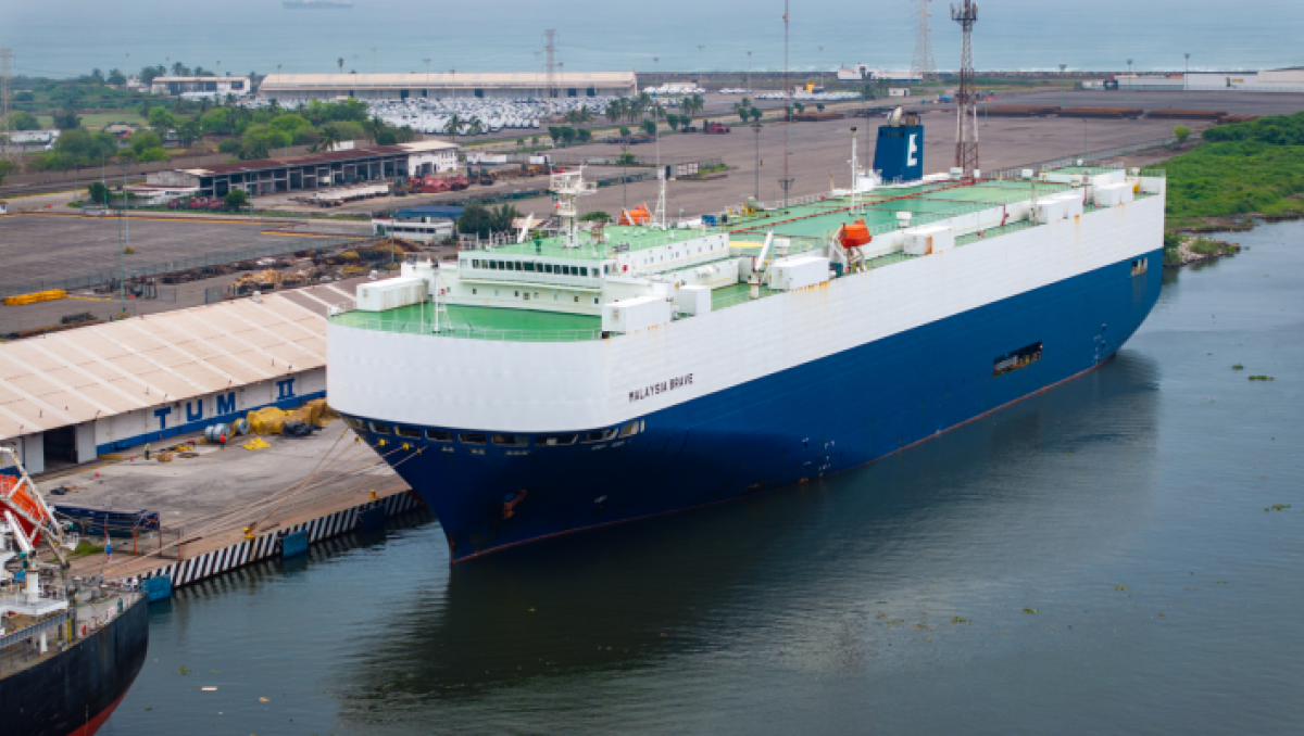 México: Puerto de Lázaro Cárdenas recibe nueva naviera centrada en Ro-Ro y carga de proyecto