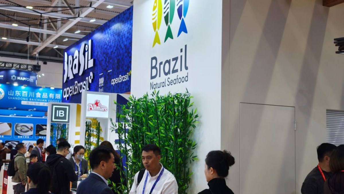 Exportações brasileiras de pescado para a China crescem e empresas buscam ampliar vendas