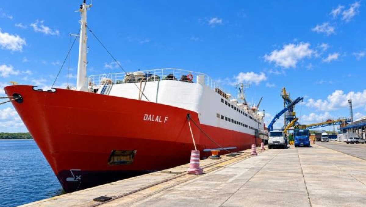 Porto de Natal realiza primeira exportação de gado vivo