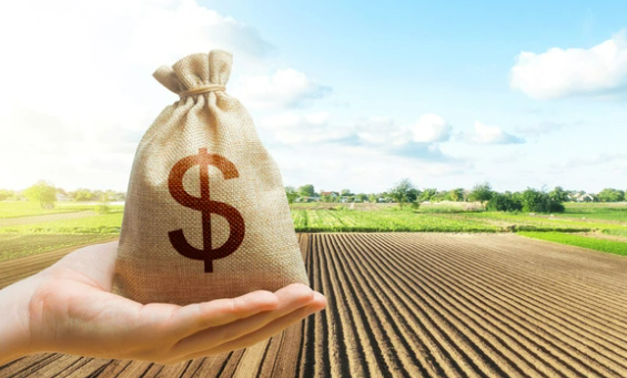 Inadimplência afeta 8% da população rural brasileira no segundo trimestre do ano, revela Serasa Experian