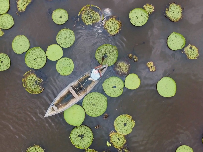 Mercado Livre, maior marketplace da sociobioeconomia da região da Amazônia, marca presença na COP30 com vitrine de produtos de empreendedores locais em parceria com Assobio e Sebrae