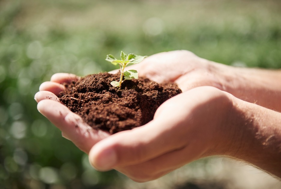 Protagonismo brasileiro: A solução para um futuro sustentável está na agricultura