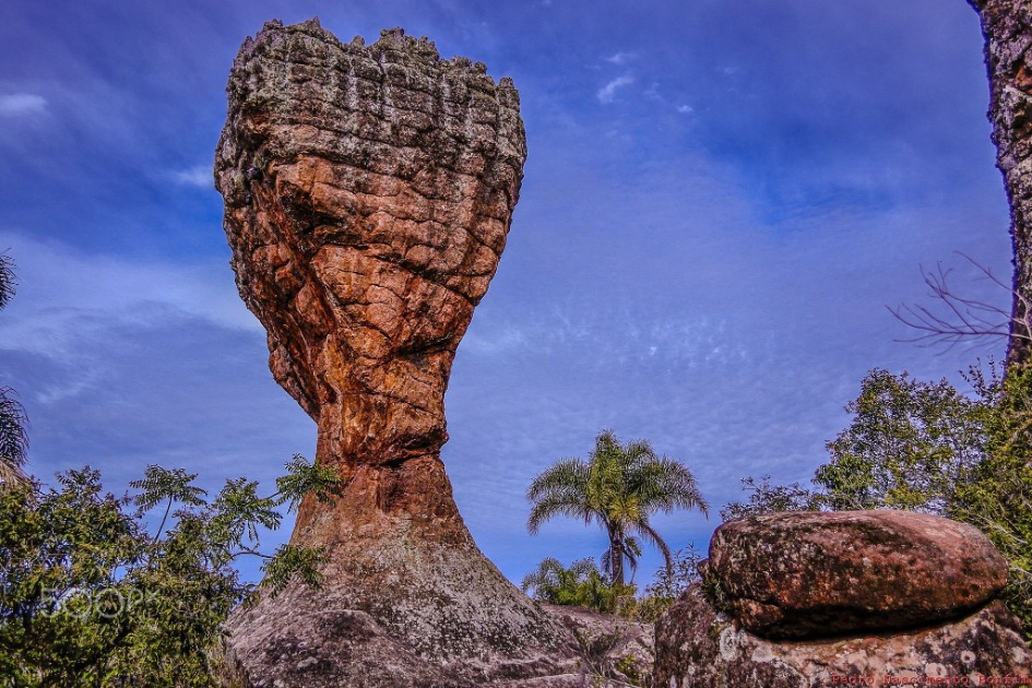 Parque Estadual de Vila Velha se consolida como referência nacional em turismo de natureza com lançamento da plataforma global da Embratur