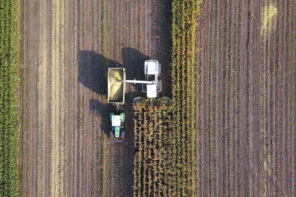 Agronegócio 4.0: produtividade conectada exige proteção digital