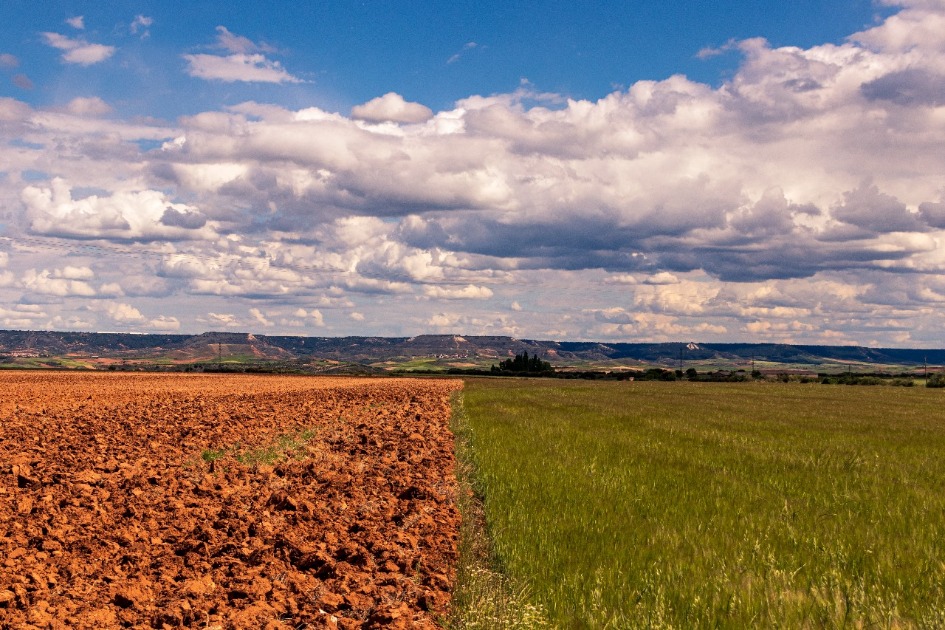 Tornados no Paraná reacendem discussão sobre prorrogação da dívida rural: decretos municipais permitem renegociação em áreas atingidas por desastres naturais