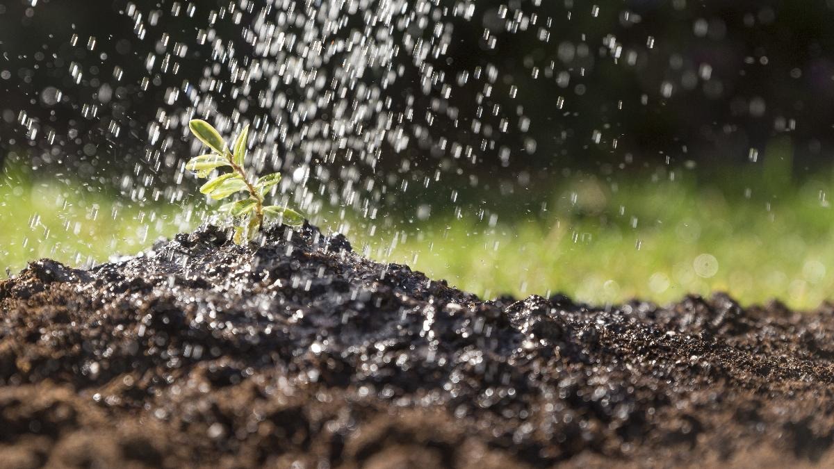 Ministério da Agricultura monitora risco no suprimento de fertilizantes