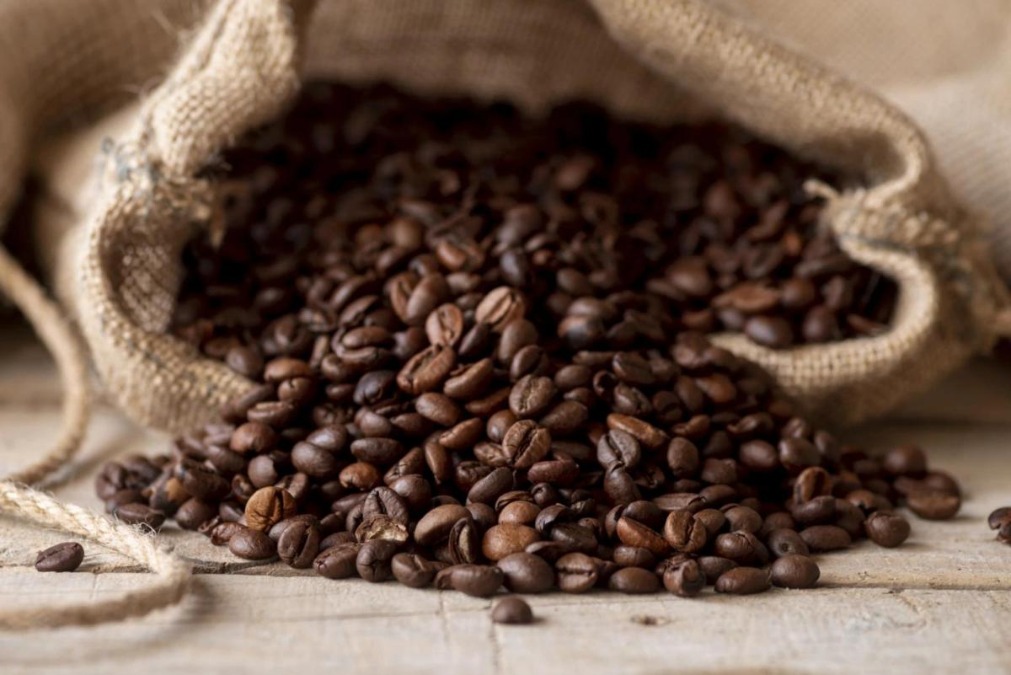 Defasagem portuária impede recorde ainda mais expressivo na exportação de café brasileiro