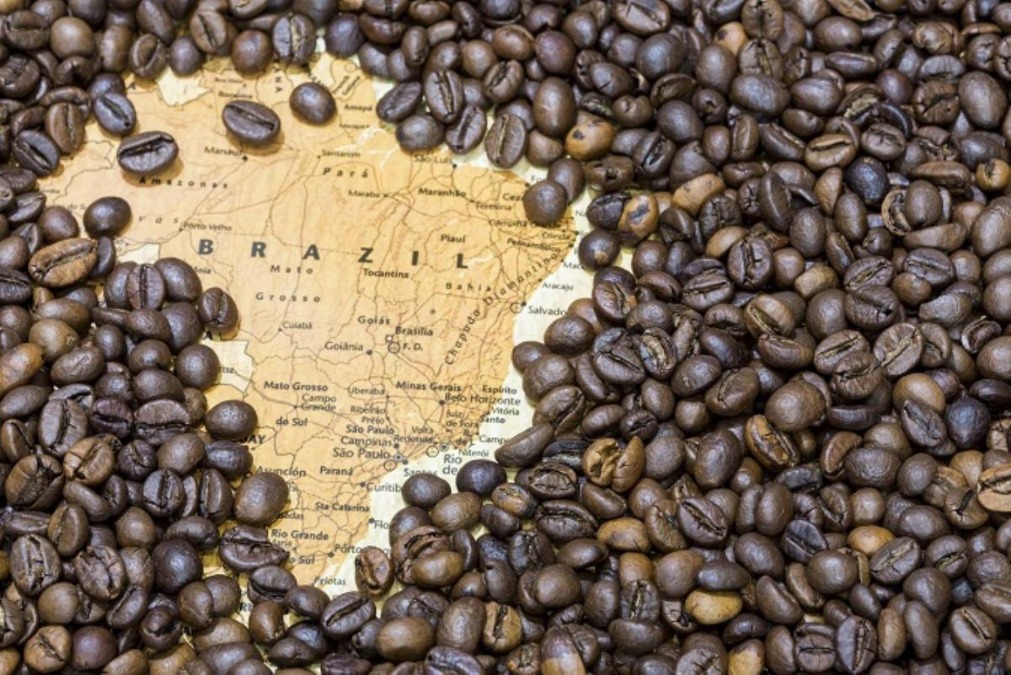 Exportação de café cai 31% em janeiro e fecha em 2,8 milhões de sacas