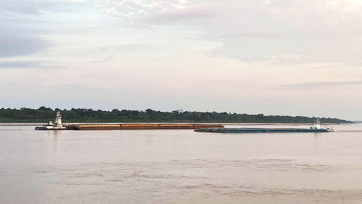 Brazil's Madeira River transport volumes rise in 2025 despite lower water levels