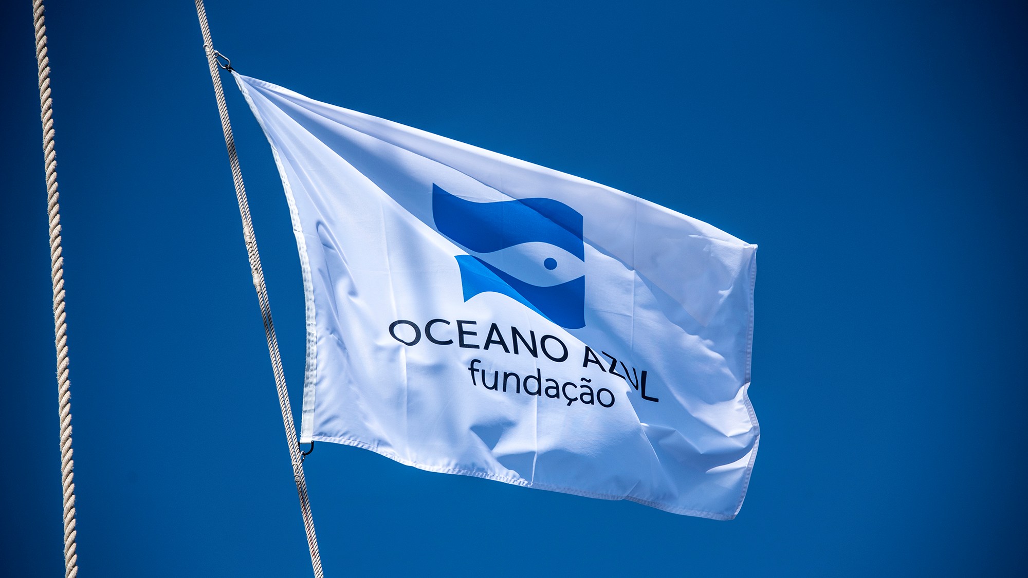 Fundação Oceano Azul pede mais ambição na futura Lei Europeia dos Oceanos.