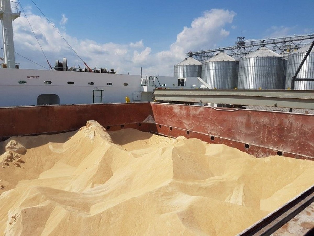 Brazil to negotiate soybean inspection framework after Chinese complaints, minister says