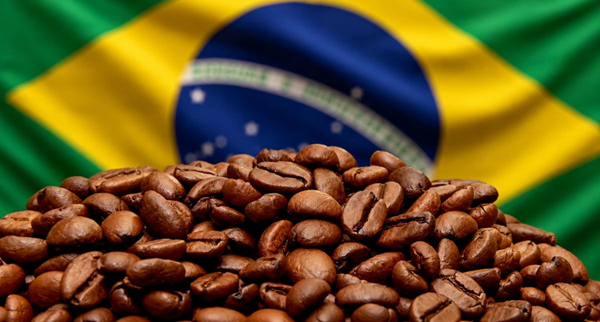 Exportação de café do Brasil cresce em volume, mas receita cai 18% em abril