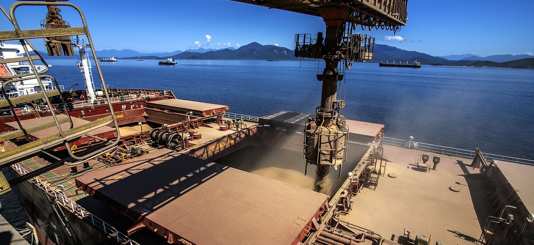 Bulk Carrier